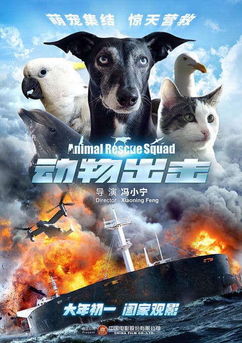 Animal Rescue